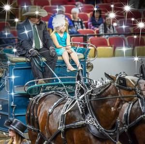 Meet your Posher, Amber